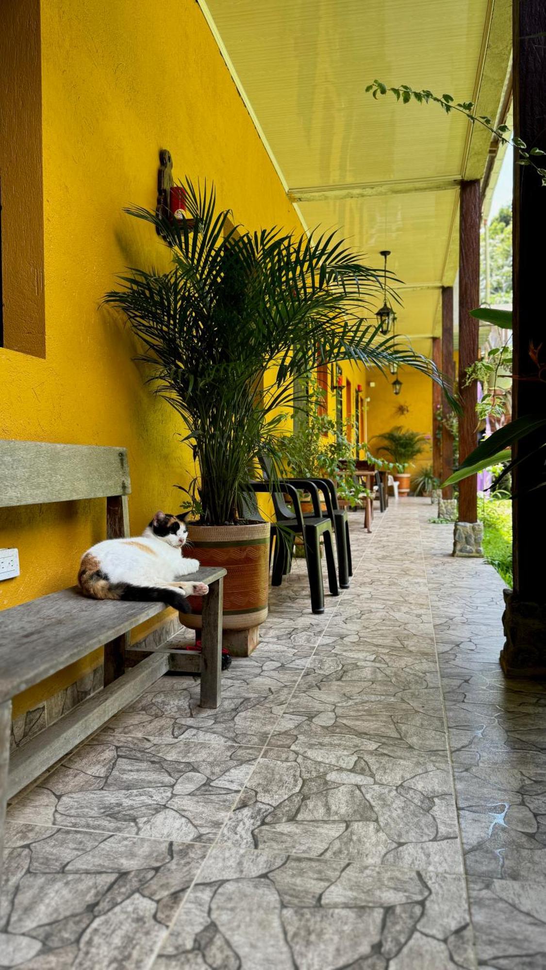 Posada Turistica Rocas De Cabo Marzo Bahia Solano Esterno foto