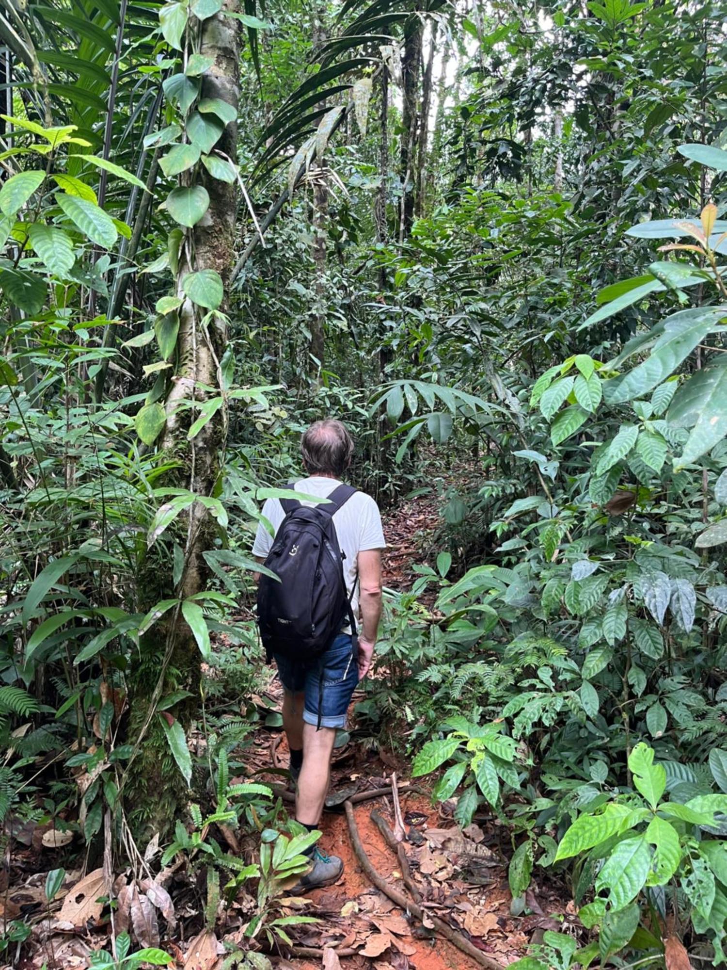 Posada Turistica Rocas De Cabo Marzo Bahia Solano Esterno foto